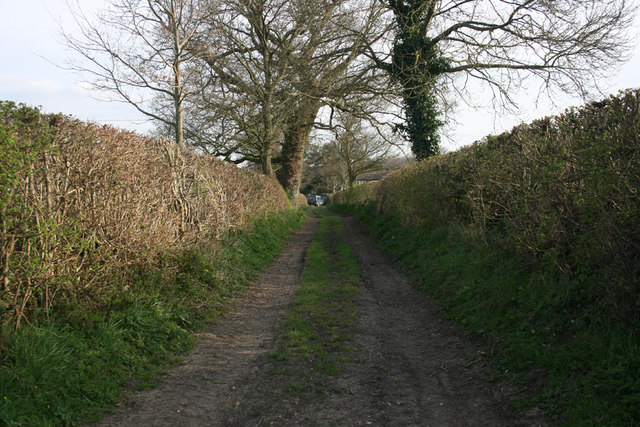 File:Lane - geograph.org.uk - 397751.jpg