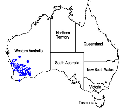 File:Map.Cyanostegia angustifolia.jpg