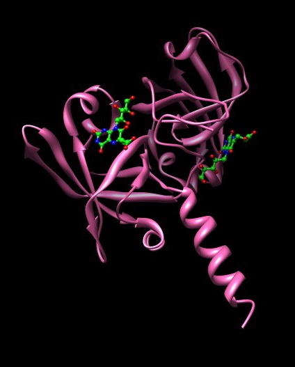 File:Monomer With Ligands.jpg