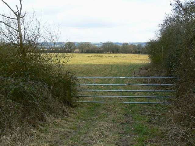 File:Pasture near Clyffe Pypard Wood - geograph.org.uk - 1187911.jpg