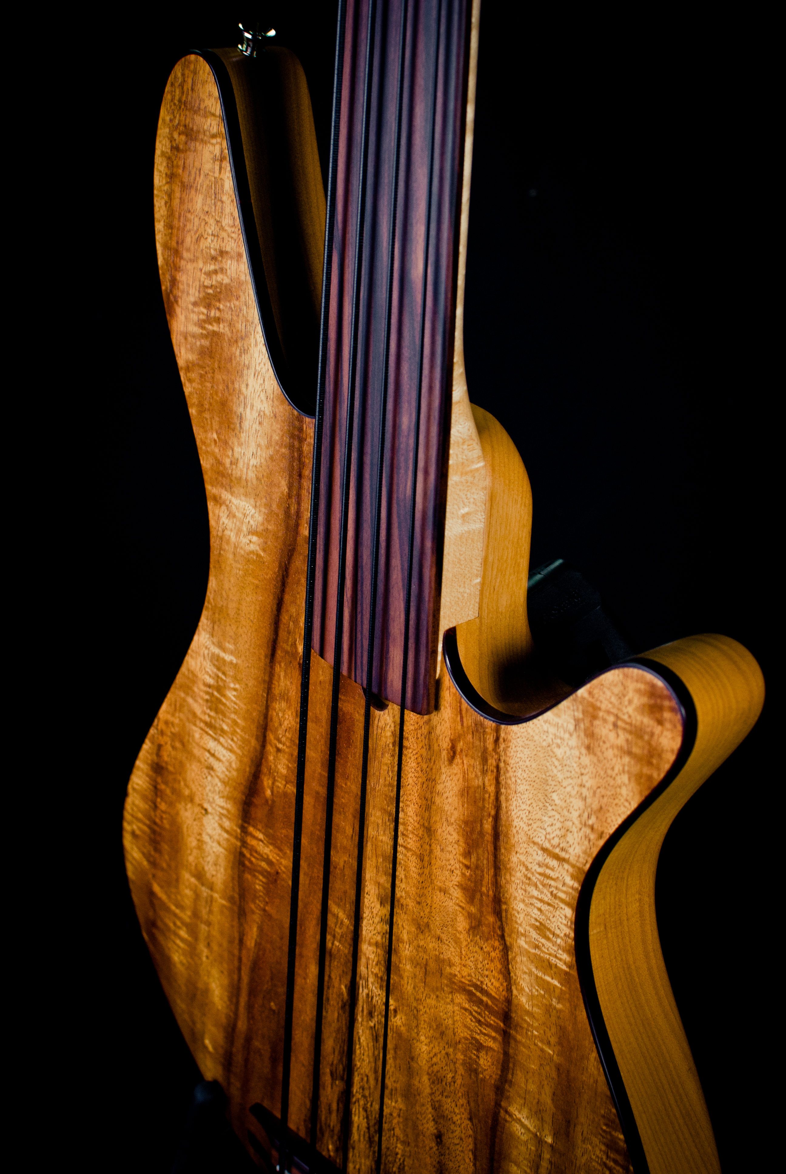 Fretless bass