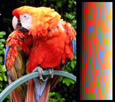 Screen color test VGA 256colors.png