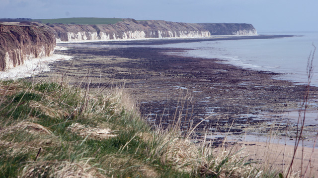 File:Sewerby Rocks, East Yorks. - geograph.org.uk - 804870.jpg