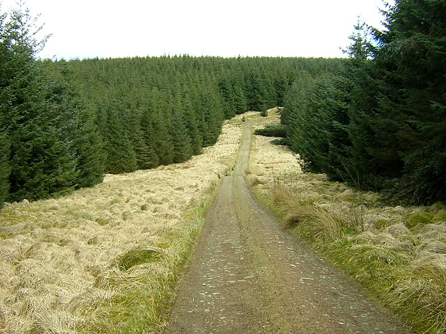 File:Southern Upland Way at Black Burn - geograph.org.uk - 158417.jpg