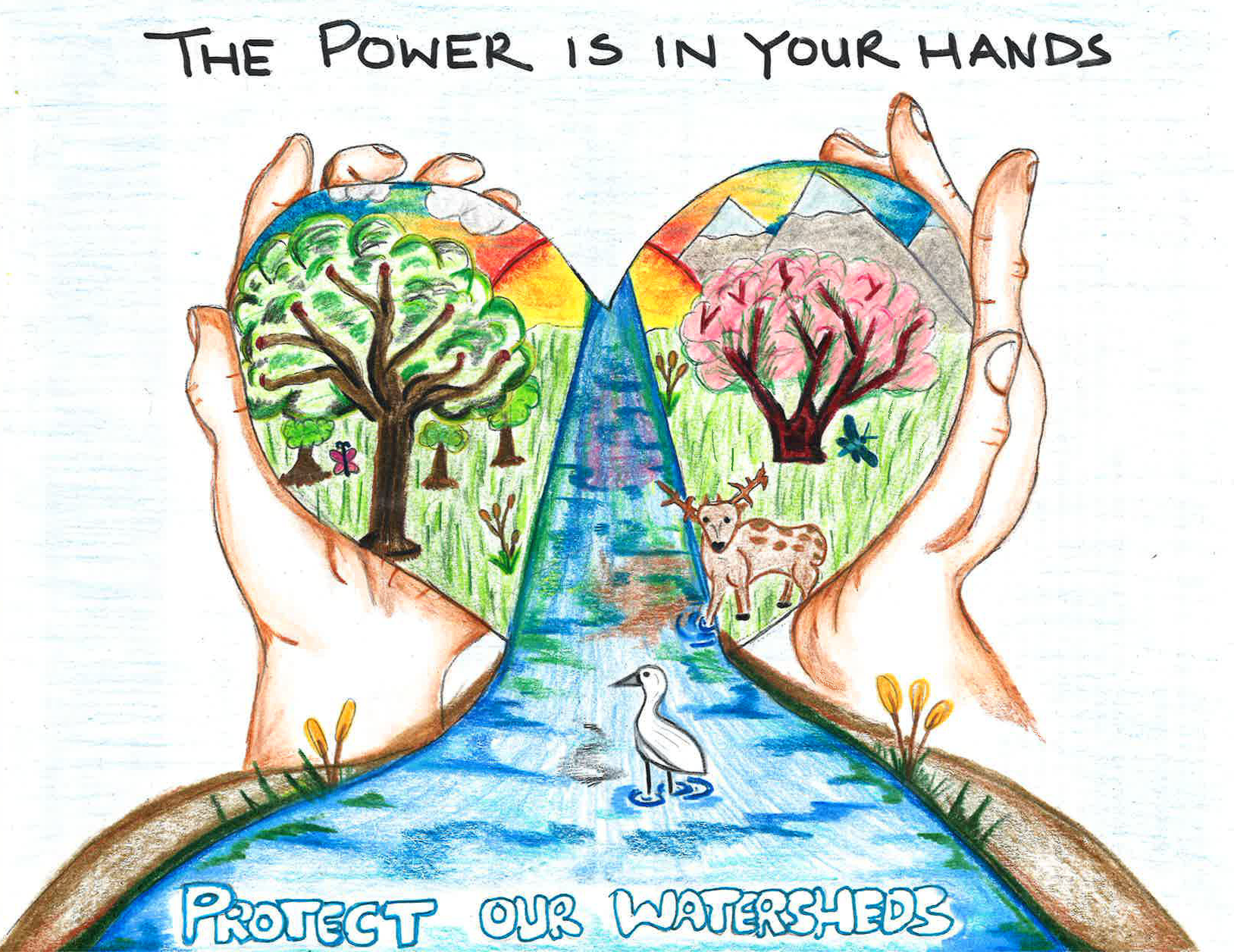 Student Art Brings Life to 'Water Is Life' Contest - Water News Network -  Our Region's Trusted Water Leader
