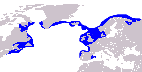 Mapa występowania