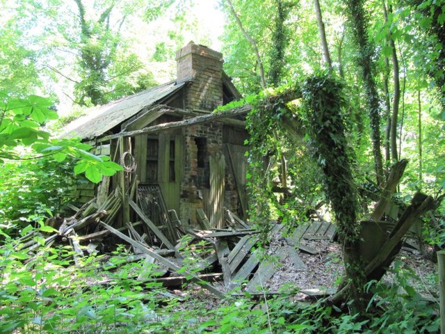 File:All fallen down - geograph.org.uk - 1345377.jpg