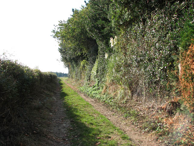 File:Bridleway to The Street in Bergh Aphton - geograph.org.uk - 1536714.jpg