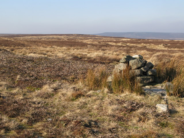 File:Currick on Riddlehamhope Fell - geograph.org.uk - 694055.jpg