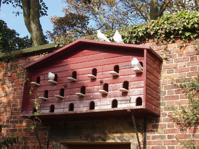 File:Dovecot in Alnwick Gardens - geograph.org.uk - 69930.jpg