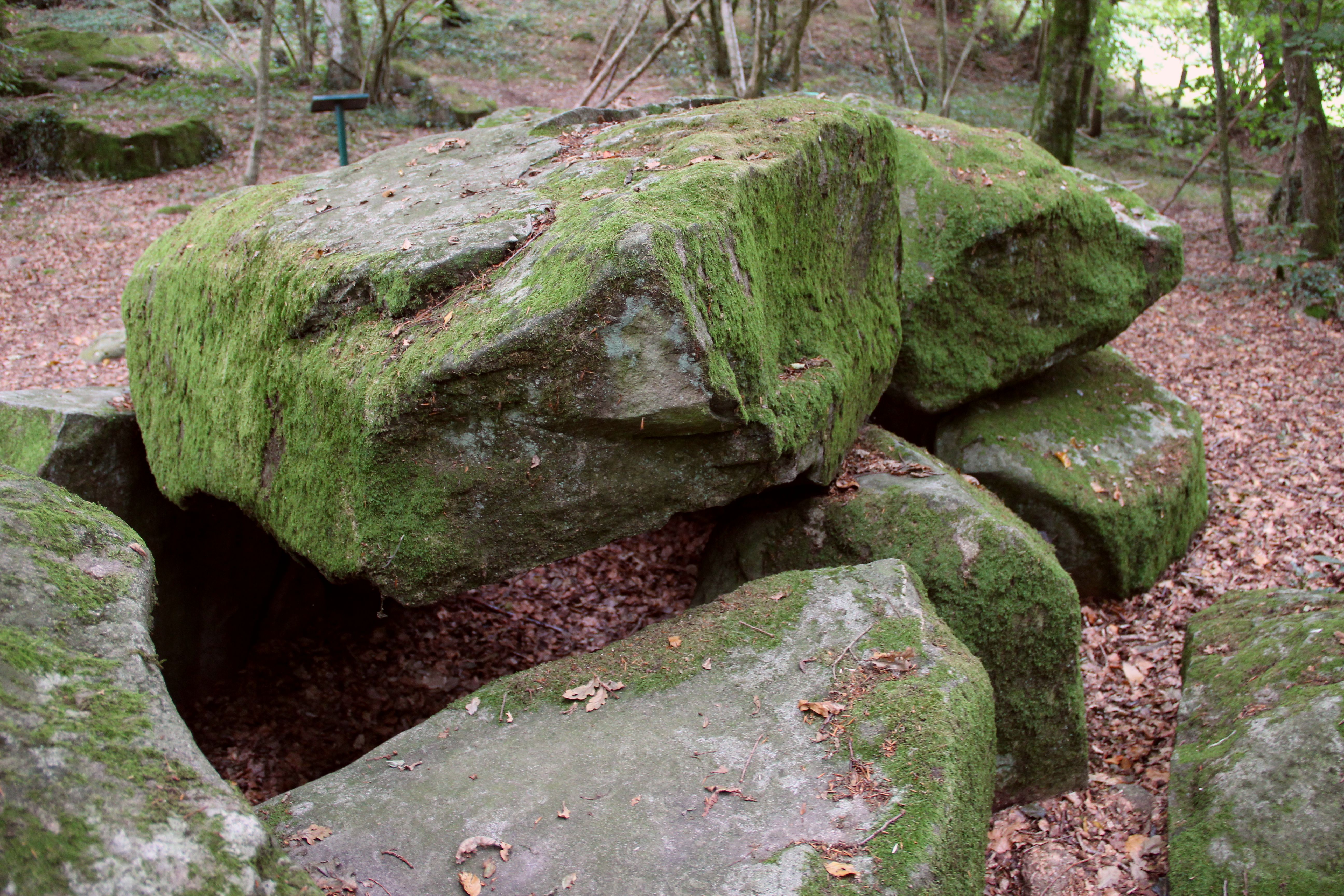 DOLMEN DE LA CONTRIE A ERNEE  France Pays de la Loire Mayenne Ernée 53500