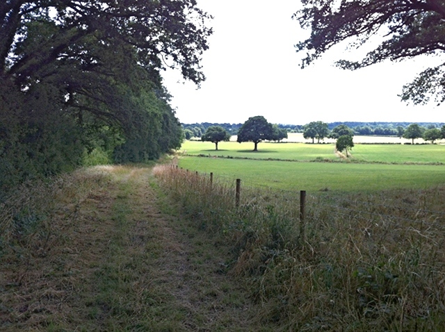 File:Farm track to accommodation bridge - geograph.org.uk - 3582667.jpg