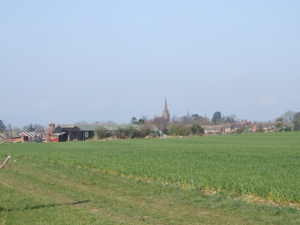 File:Farmland on the edge of Pattingham - geograph.org.uk - 391669.jpg