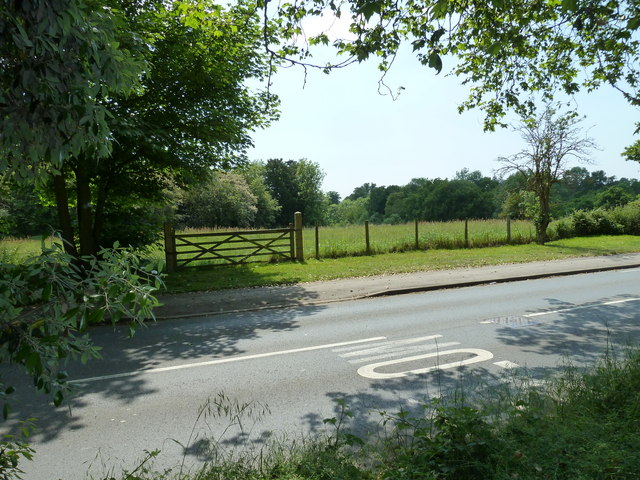 File:Field south of Watts Lane - geograph.org.uk - 1905507.jpg