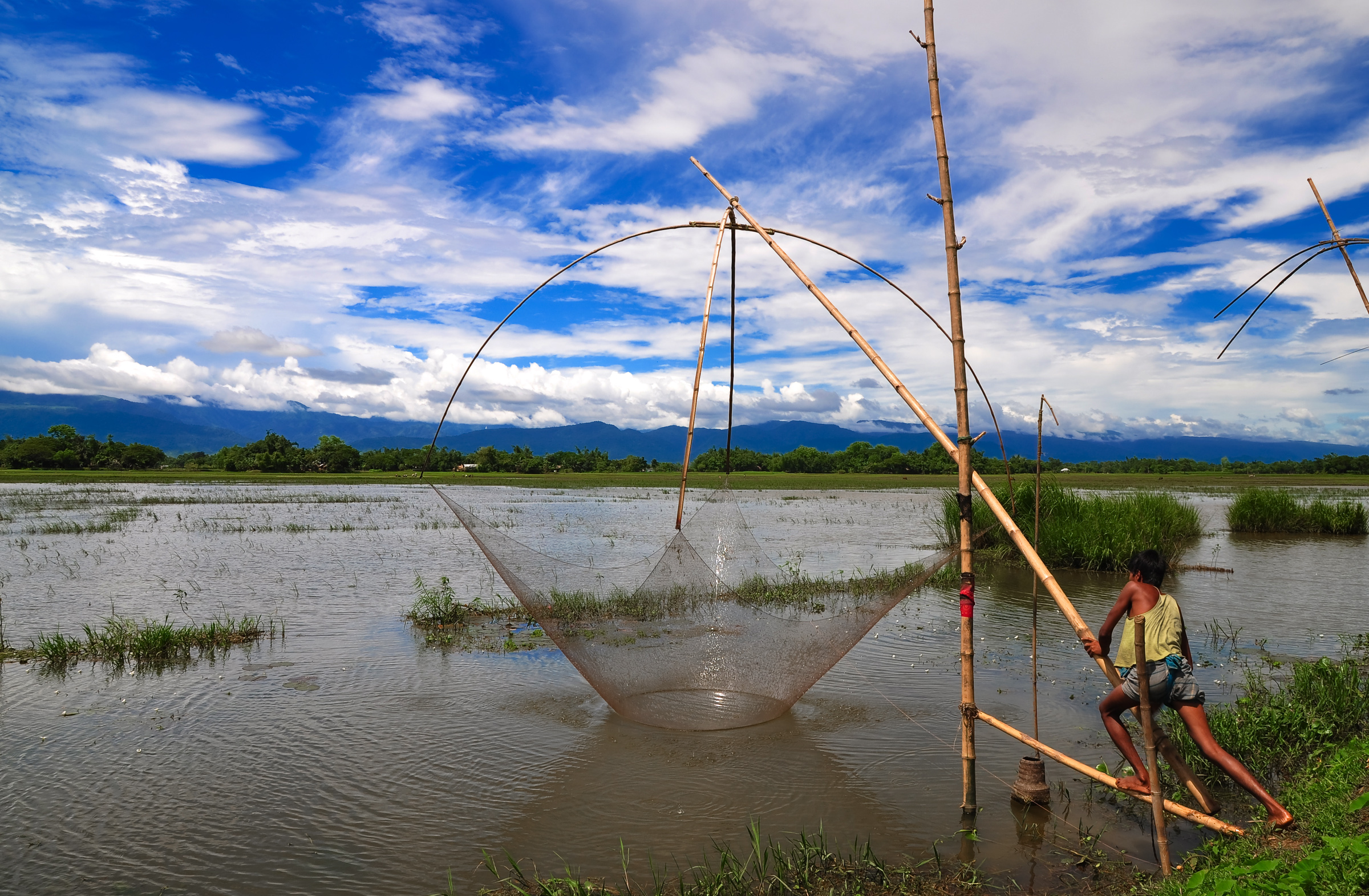 File:Fishing by lift net in the haor area of Bangladesh.jpg