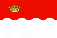 File:Flag of Vadul lui Vodă.gif