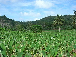 <span class="mw-page-title-main">Fogama'a Crater</span> Valley basin in American Samoa