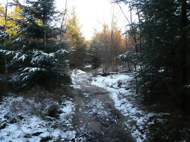 File:Forty Acre Wood - A Snowy Footpath - geograph.org.uk - 324280.jpg