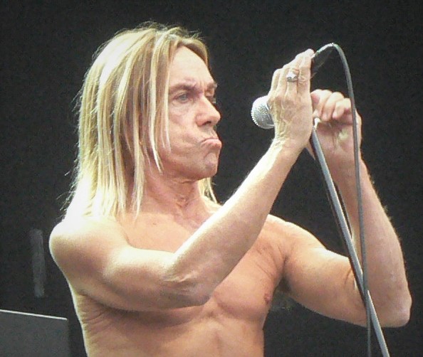 Iggy Pop - Wikipedia