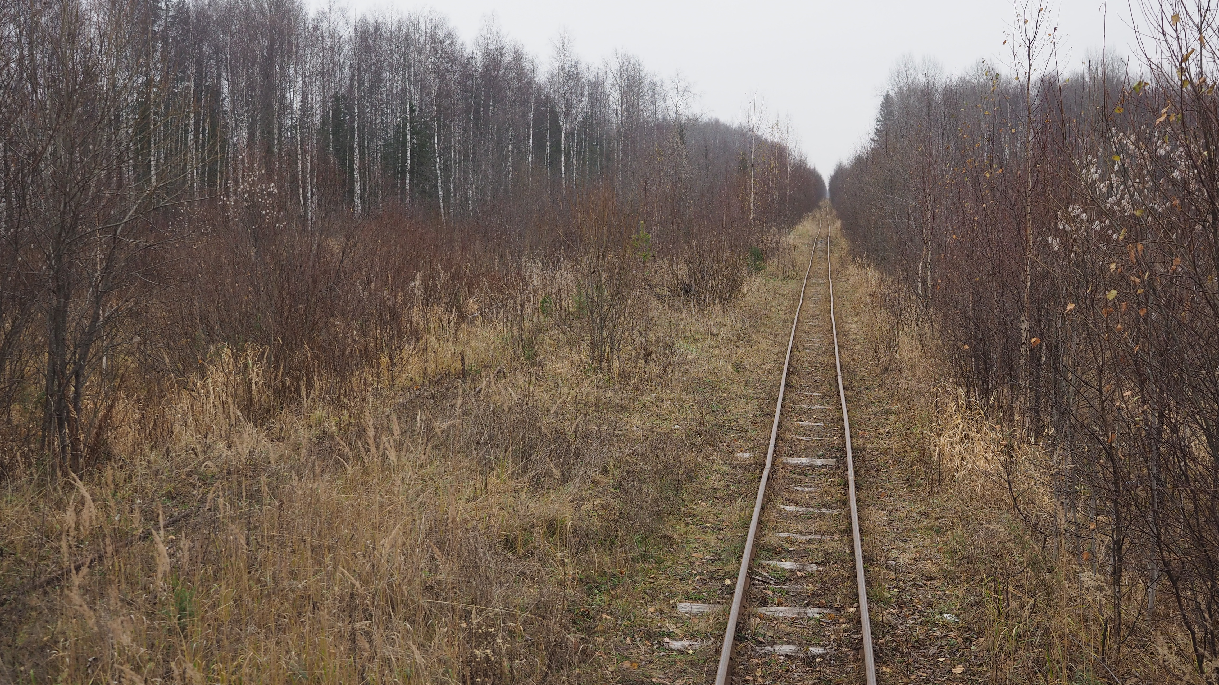 Спелово вологодская область