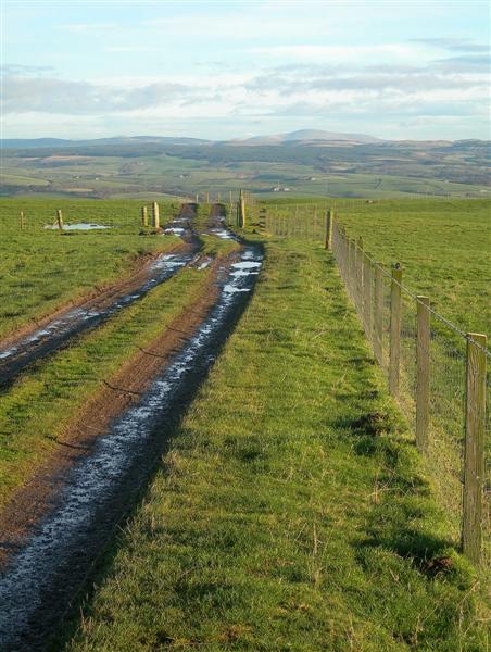 File:Lots Of Mud Here - geograph.org.uk - 619006.jpg