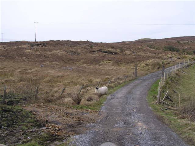 File:Loughultan Townland - geograph.org.uk - 699931.jpg