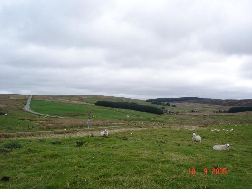 File:Moorland at Bwlch Gwyn - geograph.org.uk - 54801.jpg