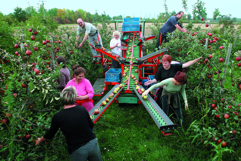 File:Obstbau 2 800.jpg