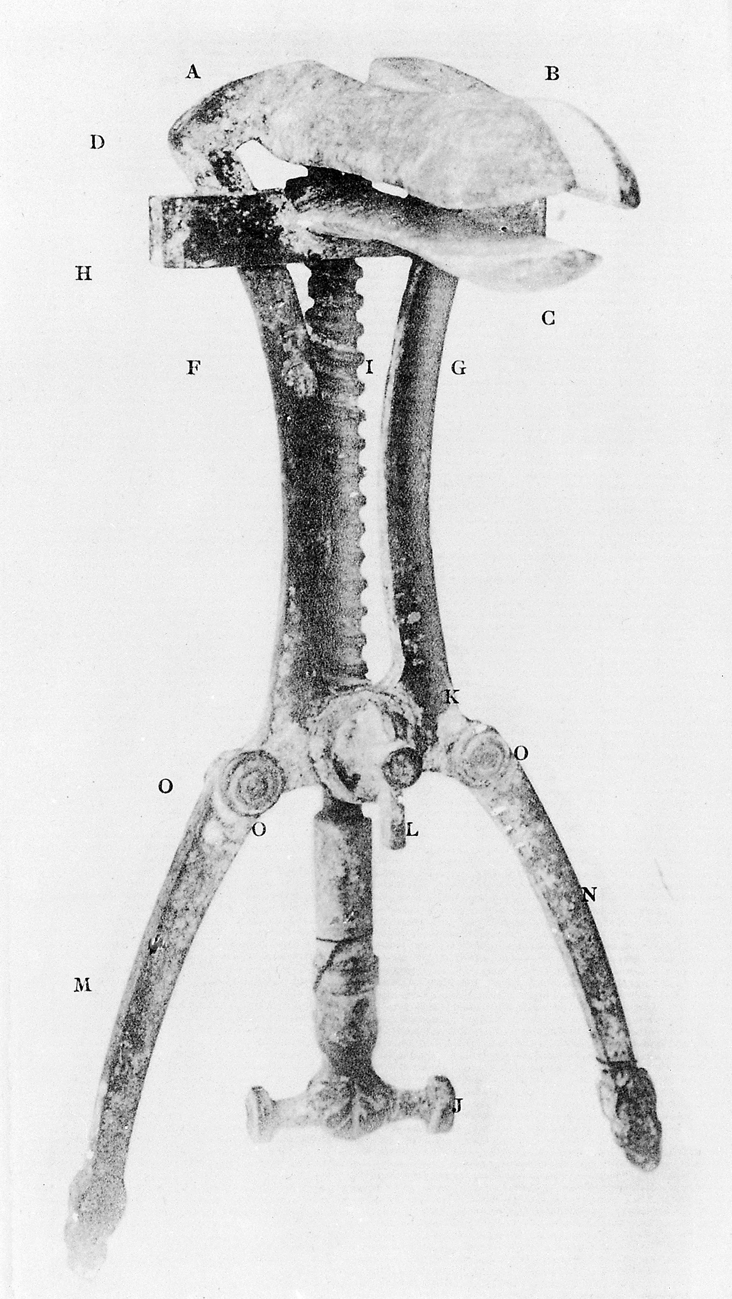 Spéculum — Wikipédia