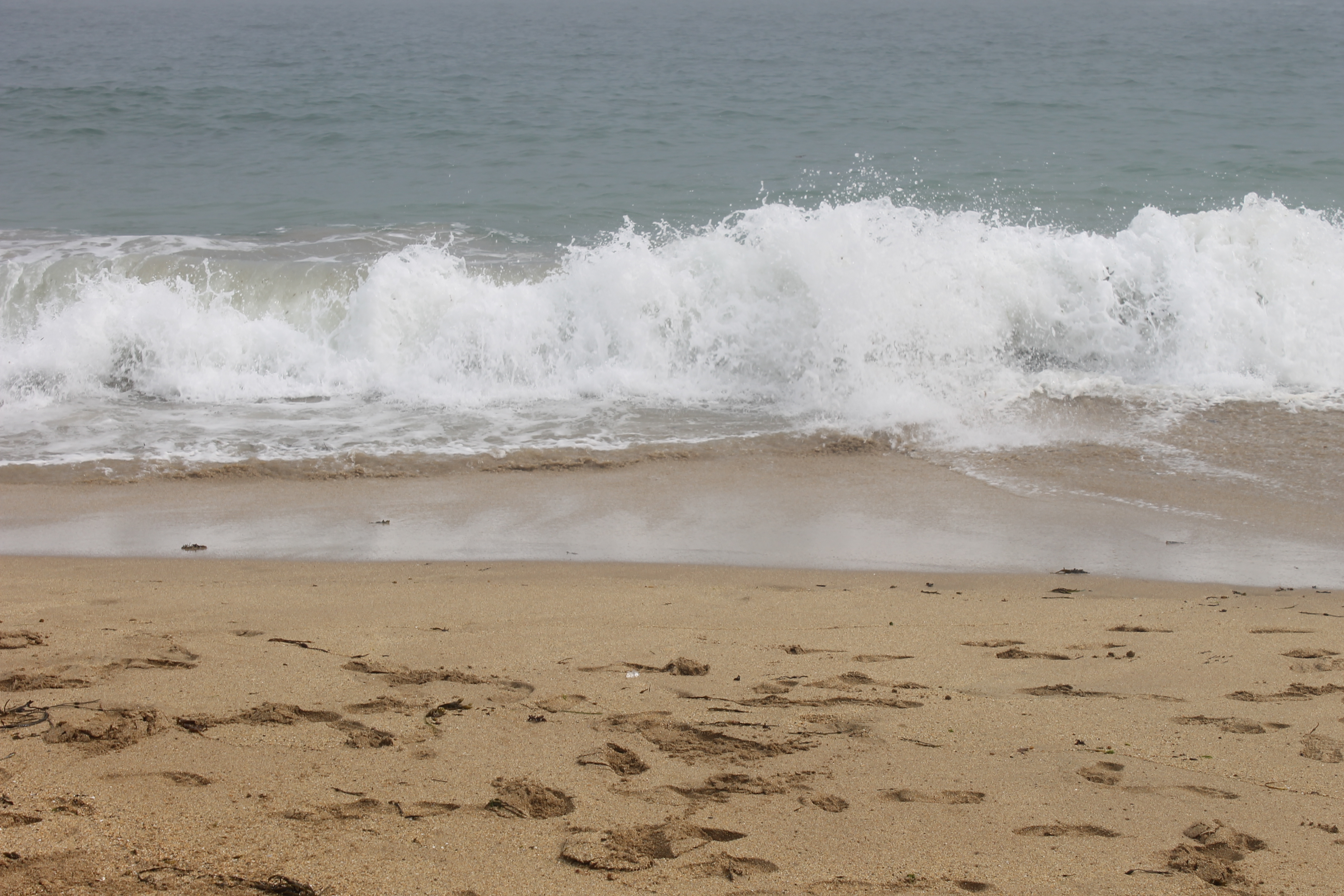 Fileocean Waves At Sand Beach Acadia Np Img 2432 Wikimedia