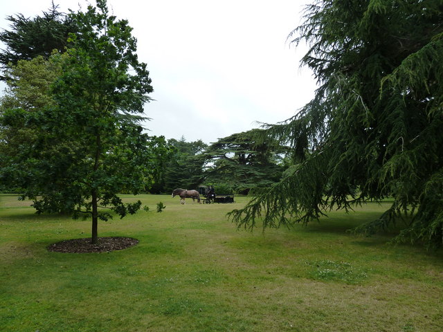 Osborne House, horse and cart glimpsed through the trees - geograph.org.uk - 2522551