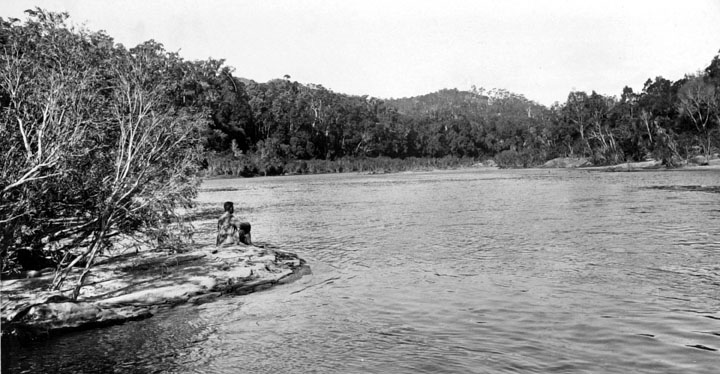 File:Queensland State Archives 1246 Barron River near Kuranda c 1935.png