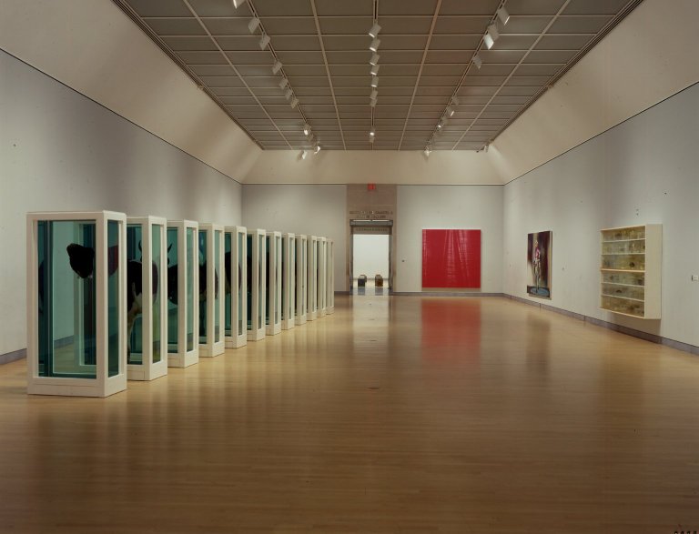 File:Sensation Young British Artists from the Saatchi Collection at the Brooklyn Museum 1.jpg