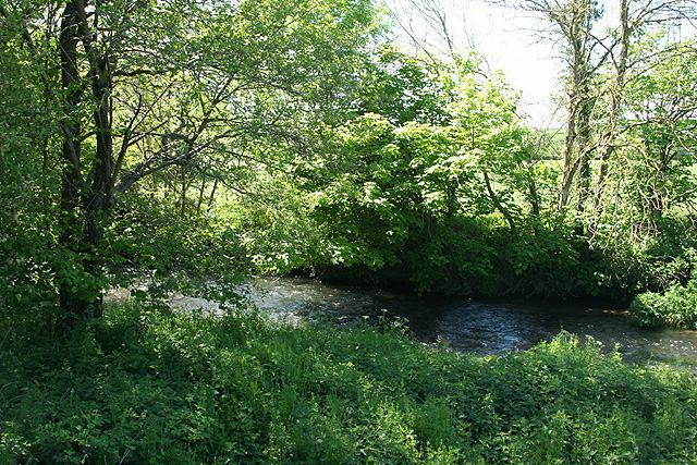 File:South Molton, the river Bray - geograph.org.uk - 441484.jpg