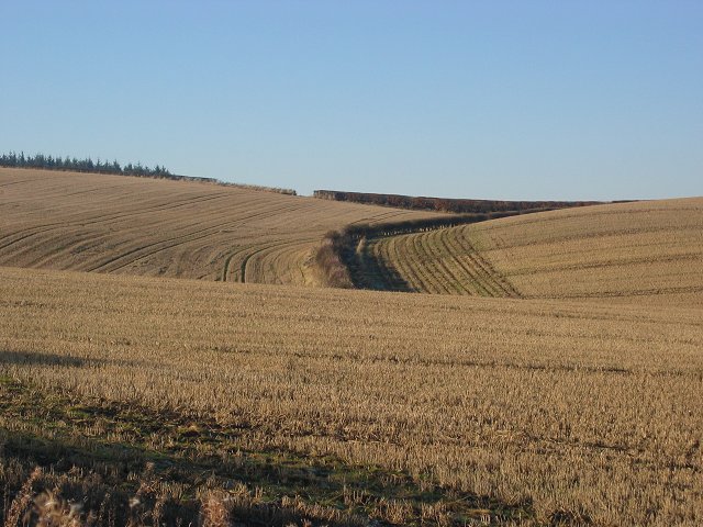 File:Stubble, Fala. - geograph.org.uk - 83058.jpg