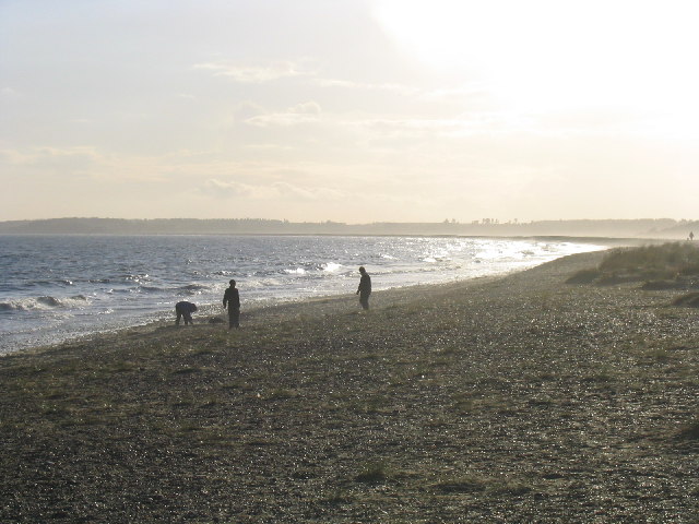 File:The Flats Walberswick Suffolk - geograph.org.uk - 16598.jpg