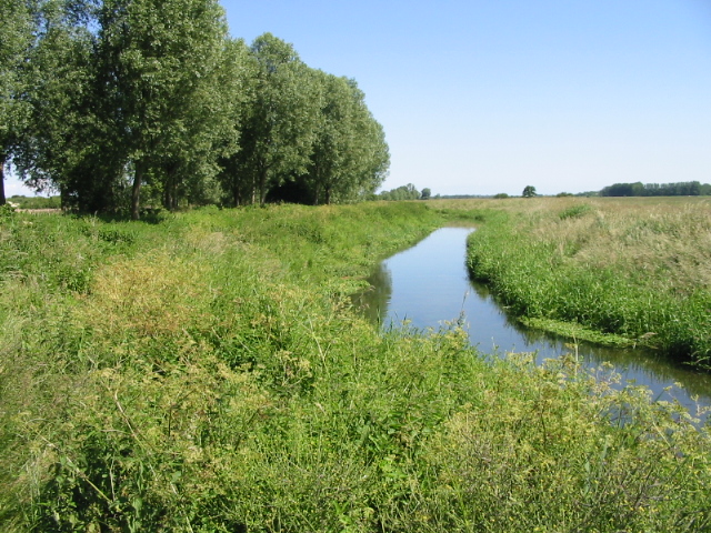 Preston Marshes