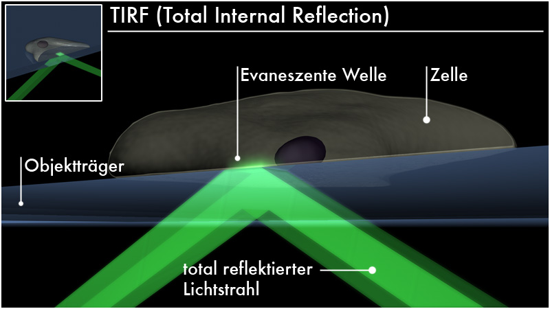 Datei:Total Internal Reflection Fluorescence.jpg