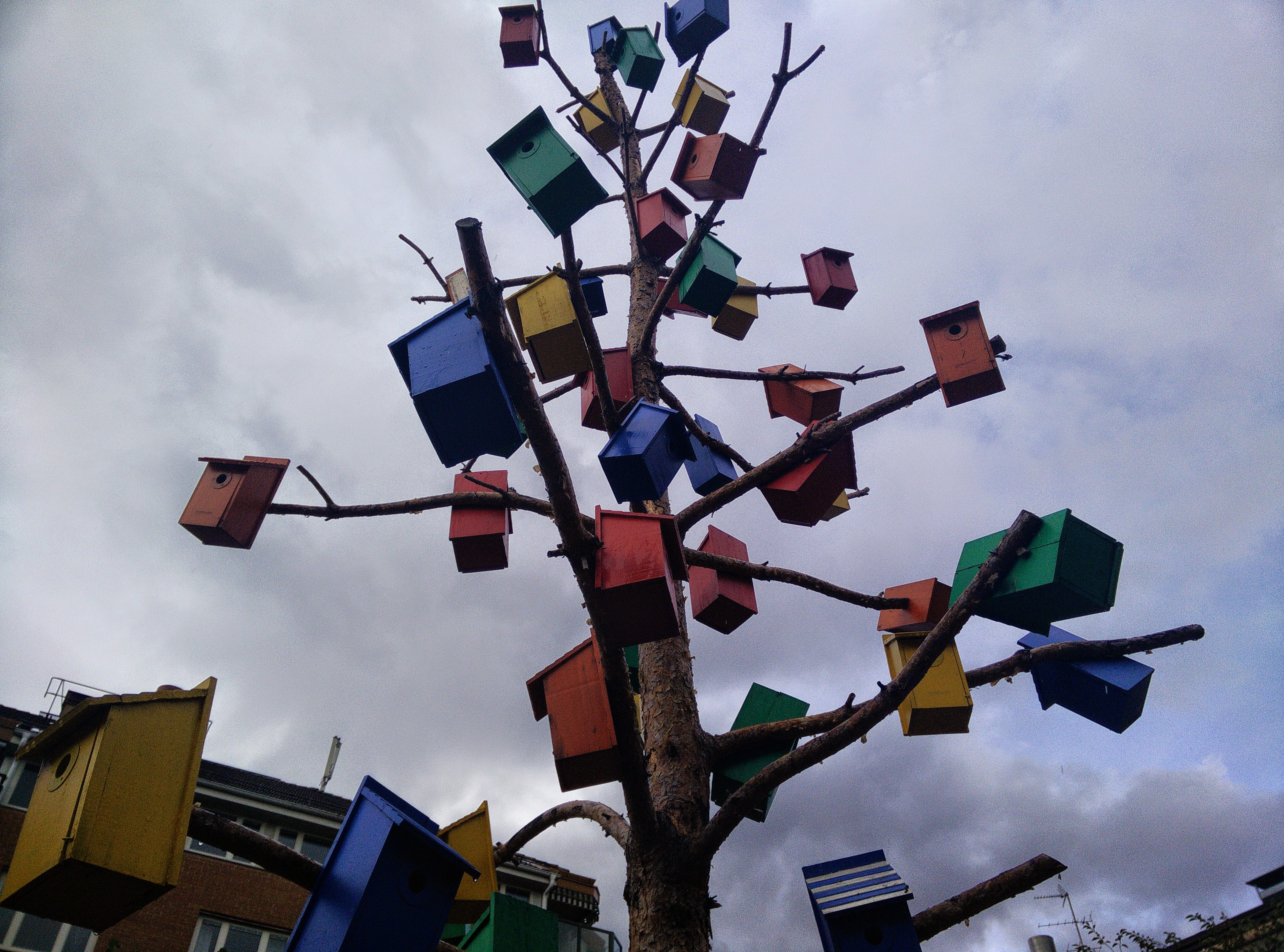 Tree filled. Много скворечников. Скворечник на дереве. Декоративное дерево со скворечниками.