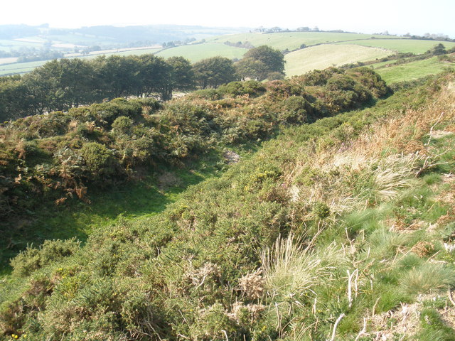 View north, from Pilsdon Pen - geograph.org.uk - 970204