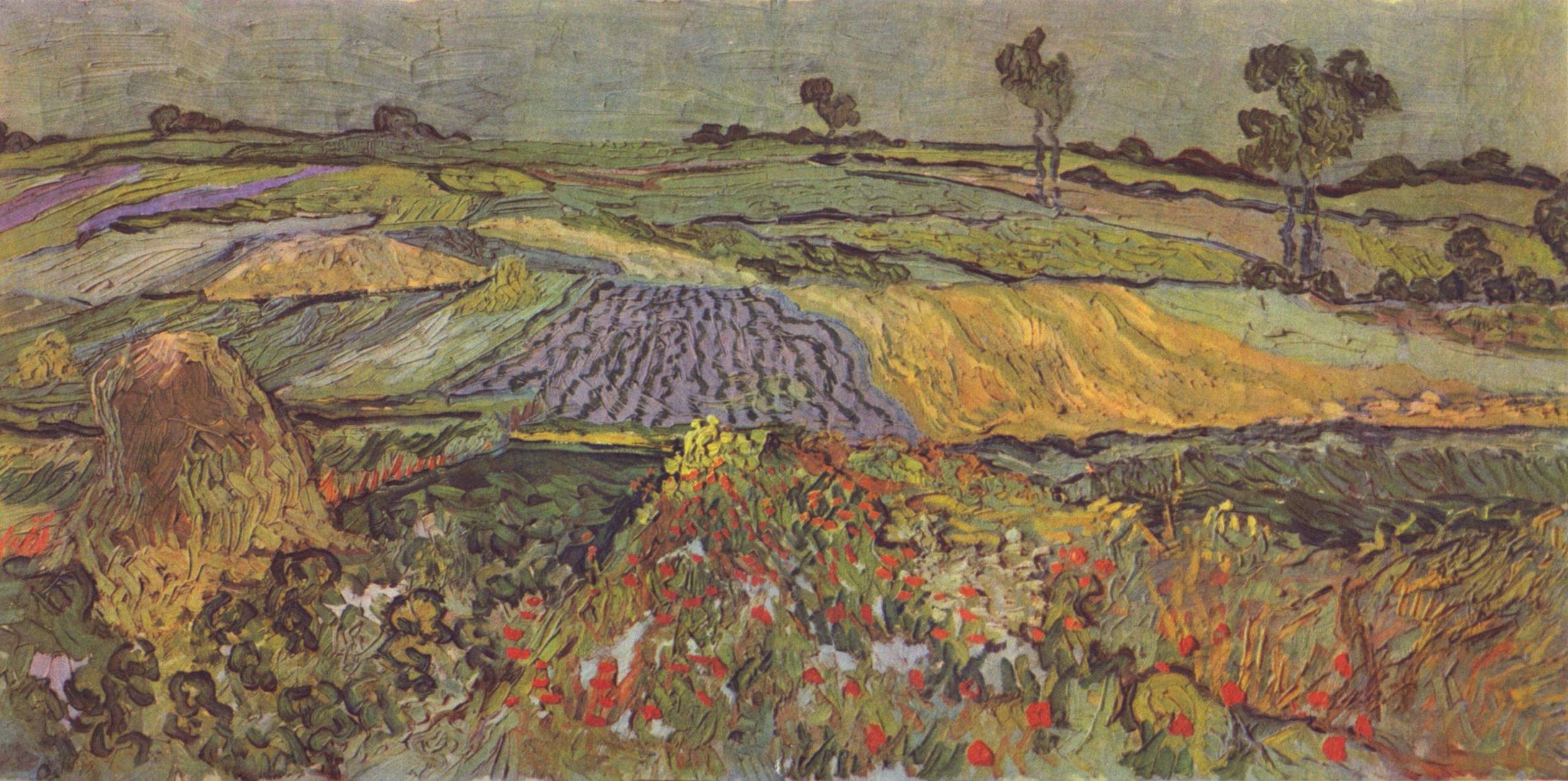 belvedere van gogh