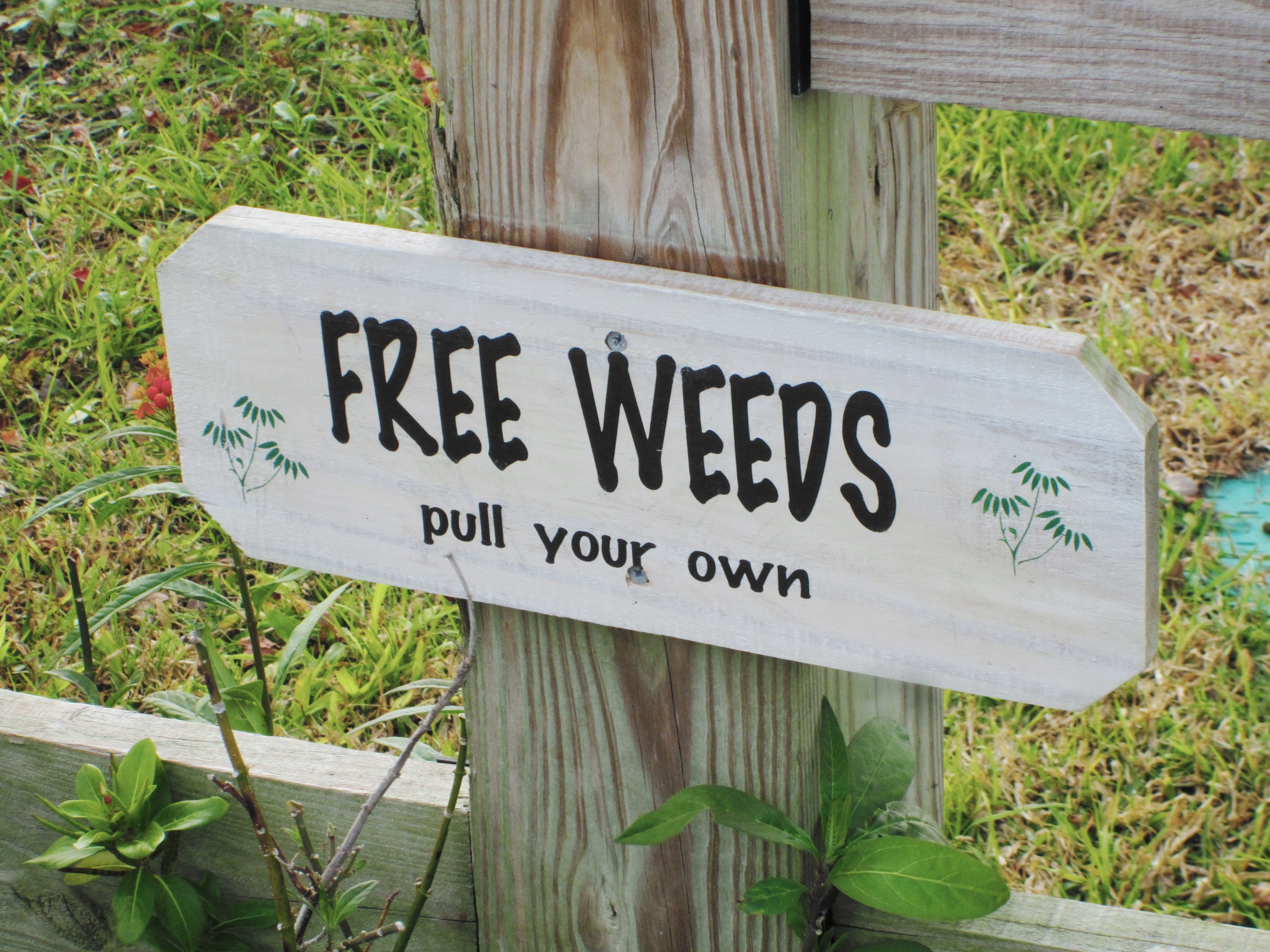 FileWeed Sign Free Weeds Lake Placid Floridajpg Wikimedia