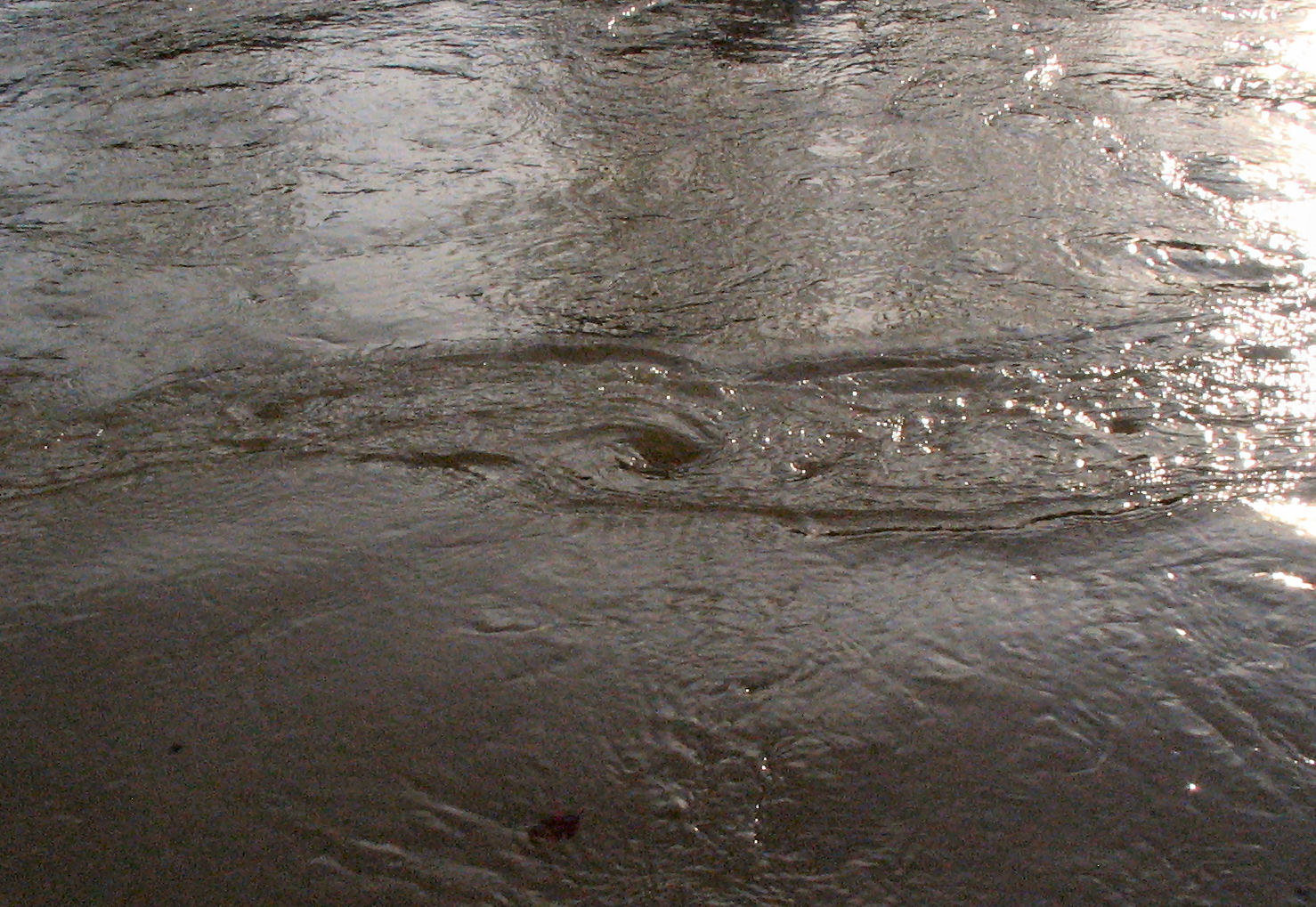 File:Whirlpool mud.jpg - Wikimedia Commons