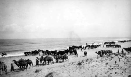 [WW1] Front du Moyen-Orient - Page 2 4th_Light_Horse_Regiment_at_Tel_el_Marakeb