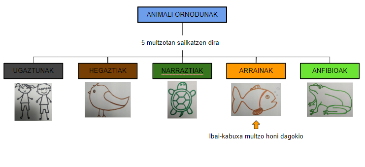 File:Animali ornodunen sailkapena.png