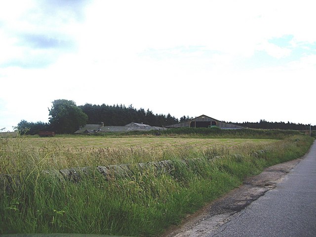 File:Approach to Newlands - geograph.org.uk - 1408730.jpg
