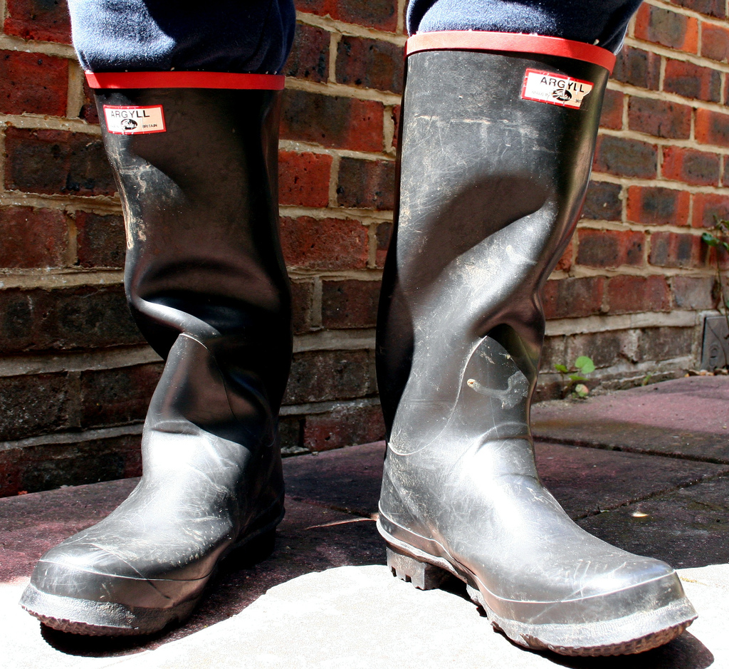 argyll wellingtons