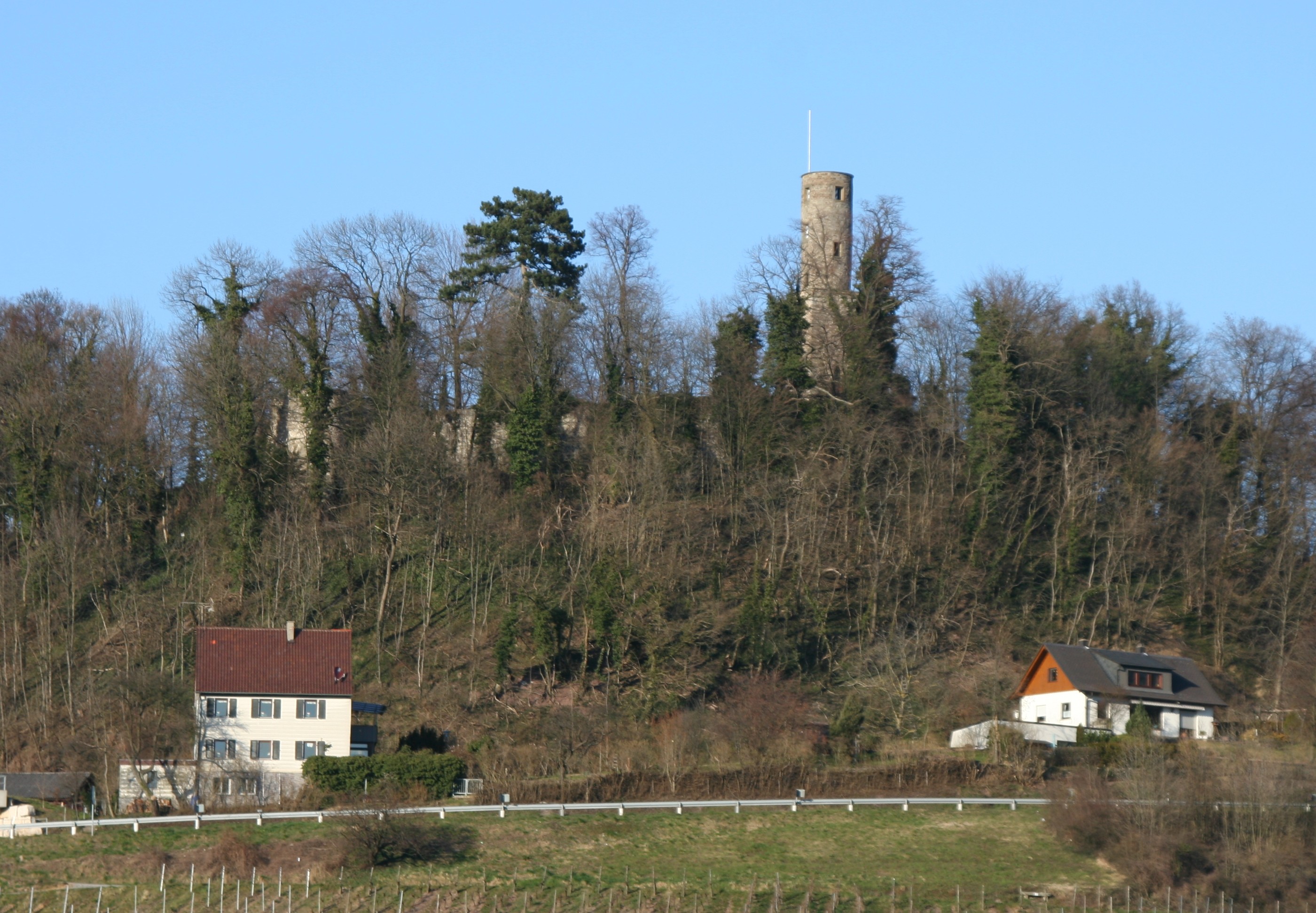 Löwenstein castle ruin as seen from the South