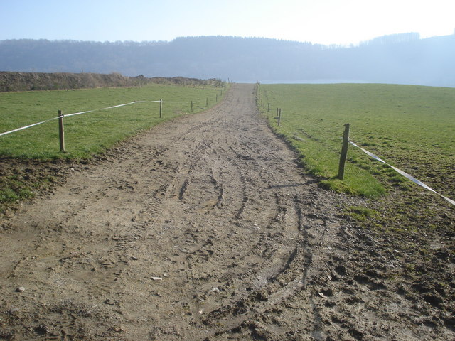 File:Cattle path at Knill Farm - geograph.org.uk - 901387.jpg