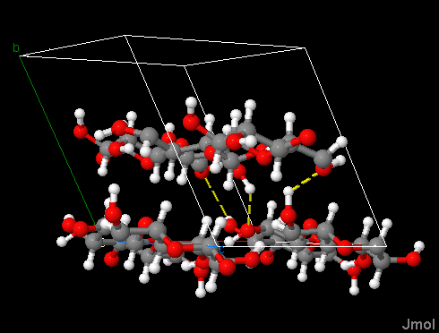 File:Cellulose II between.gif